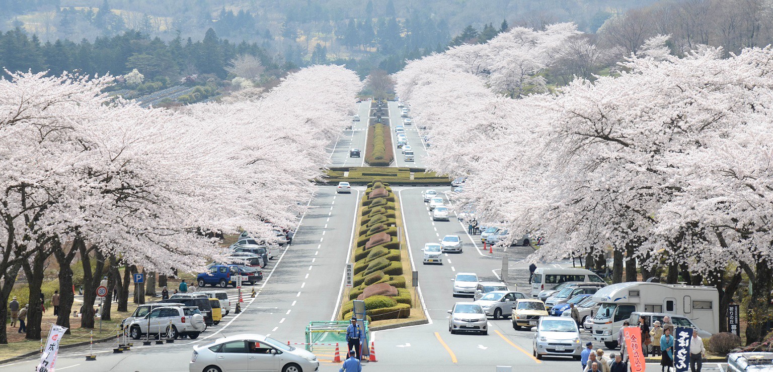 【小山町公式】 小山町 くらしの手続きガイド