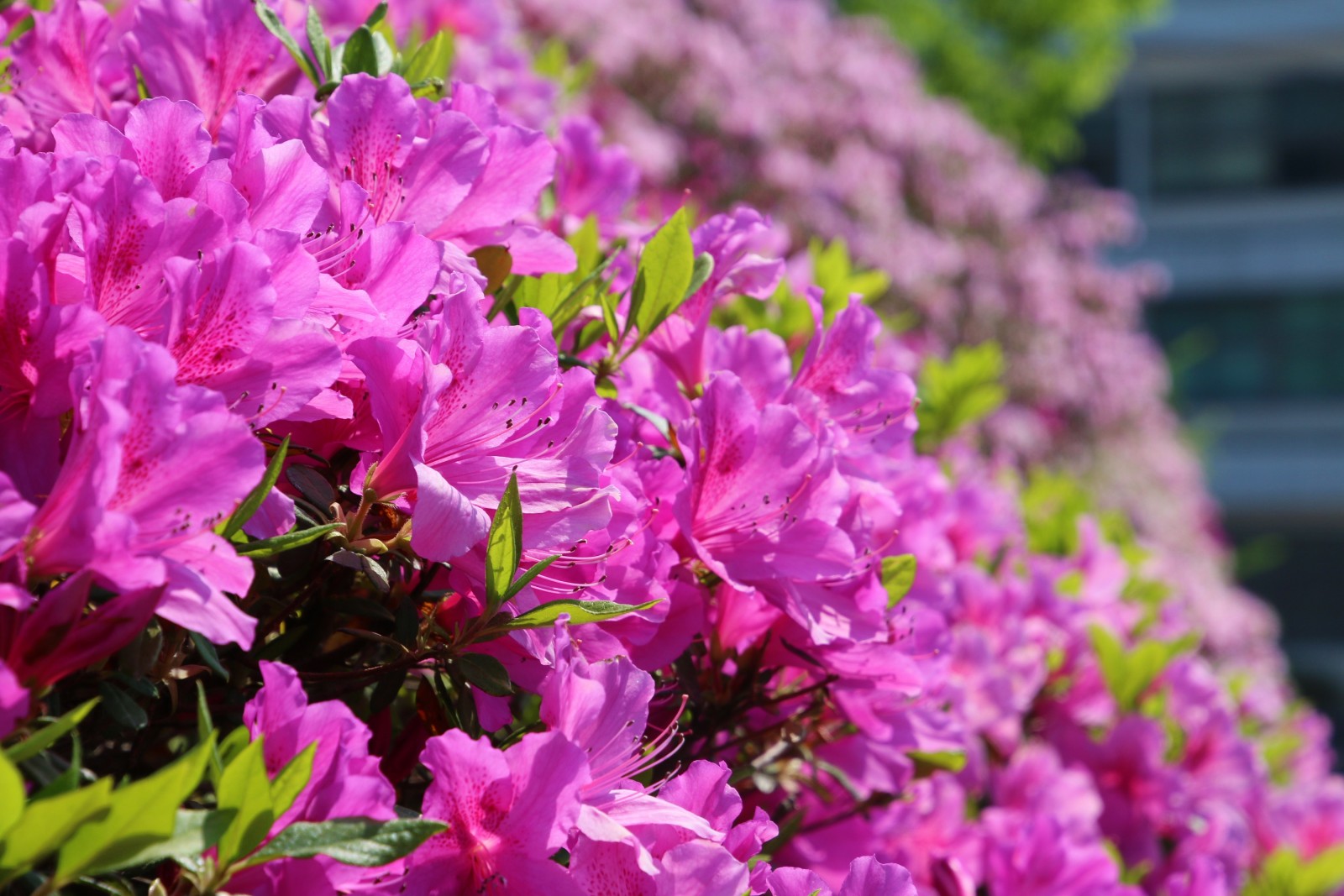 【田川市公式】 田川市 くらしの手続きナビ