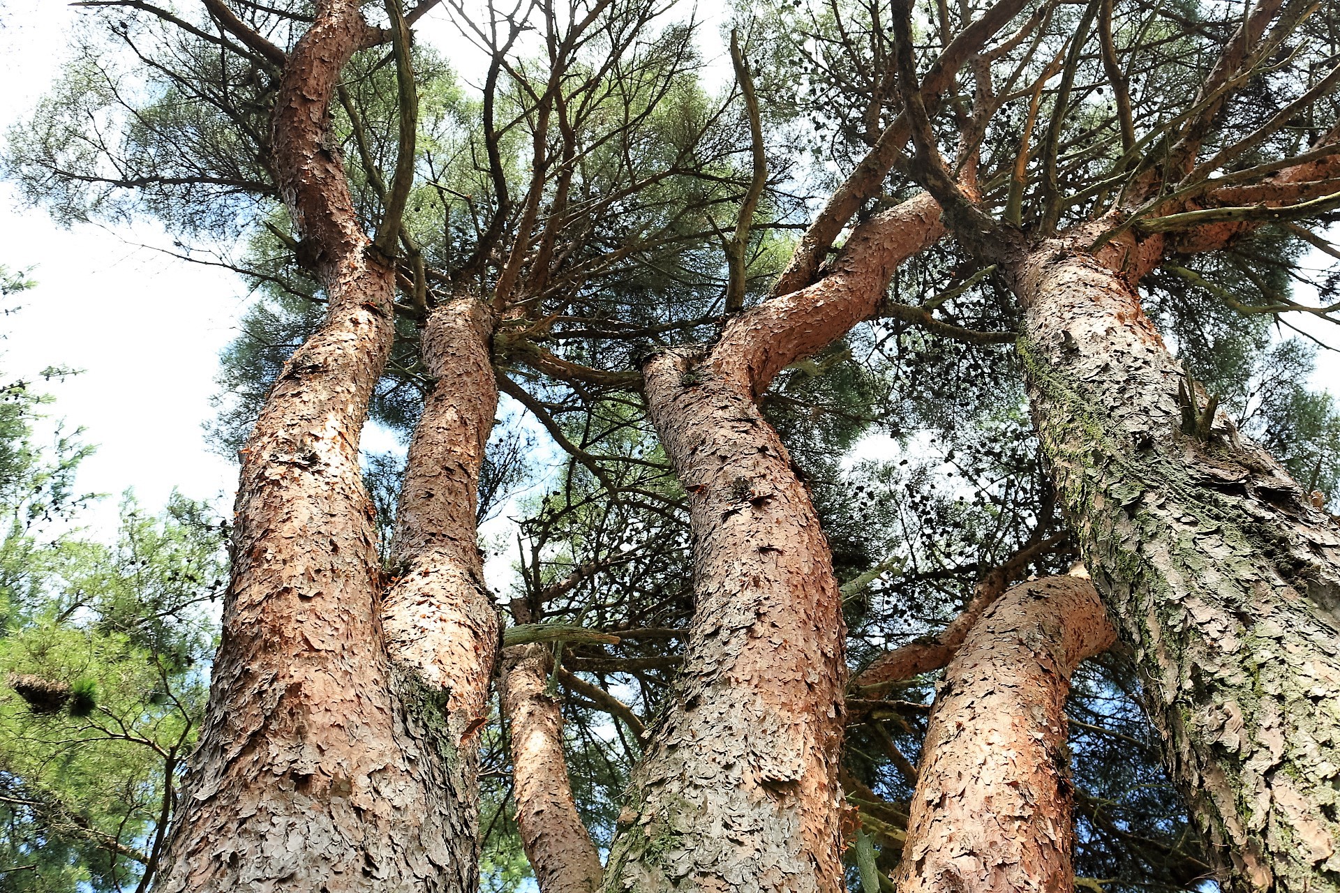 【湖南市公式】 湖南市